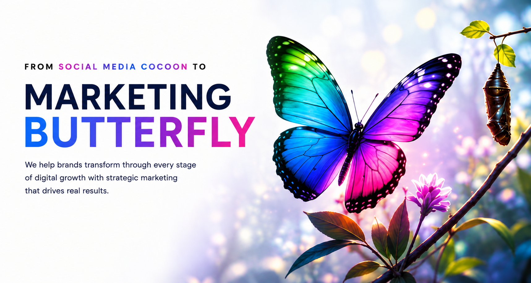 Digital Marketing Agency in Dwarka